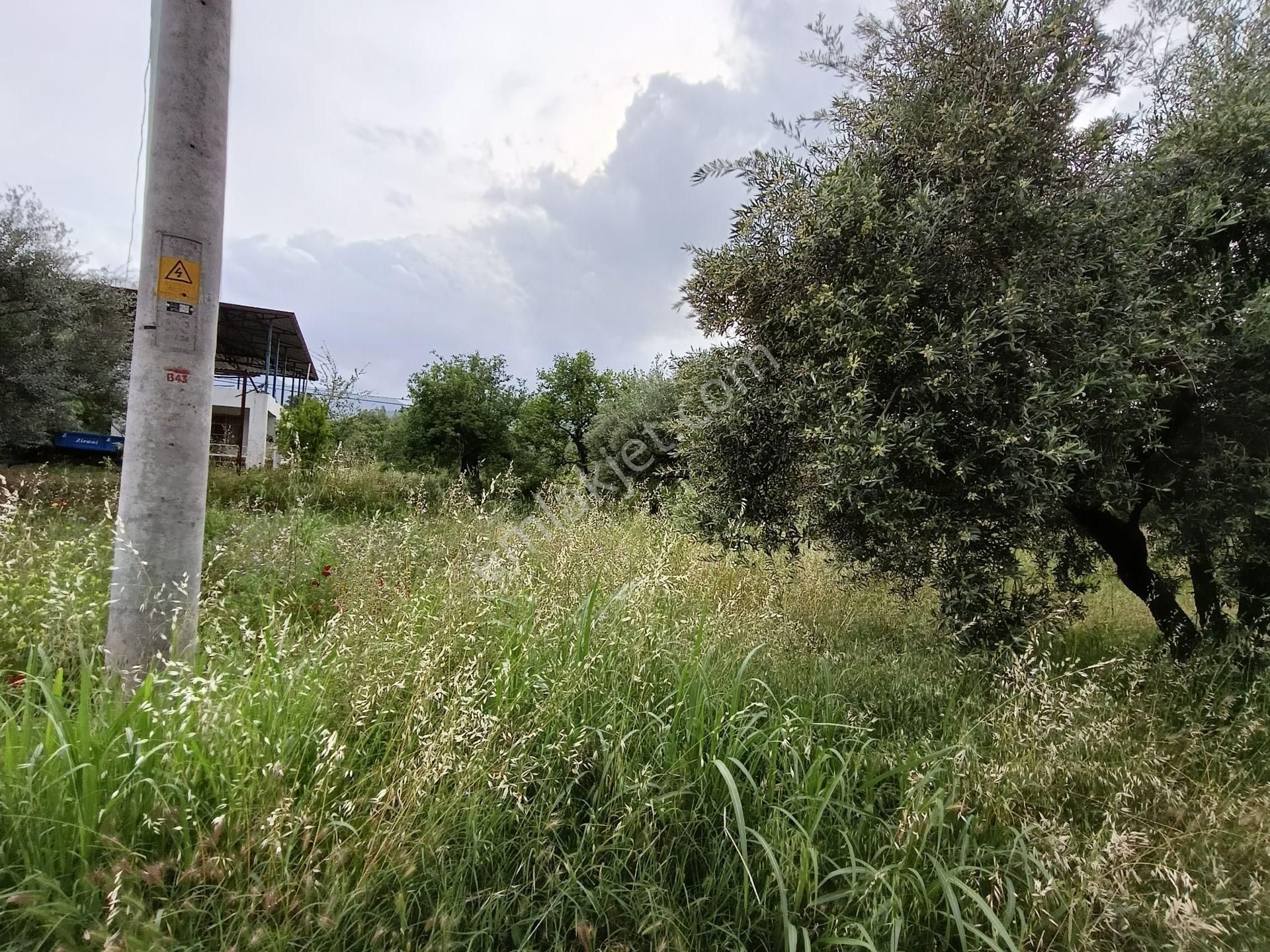 502 Karacasu Esençay Mah De Satılık Arsa Asfalta Sıfır İmar Sahası İçinde - Görsel 27