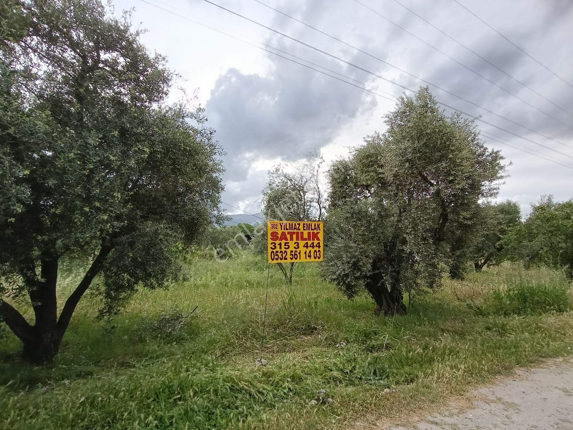 502 Karacasu Esençay Mah De Satılık Arsa Asfalta Sıfır İmar Sahası İçinde - Görsel 2