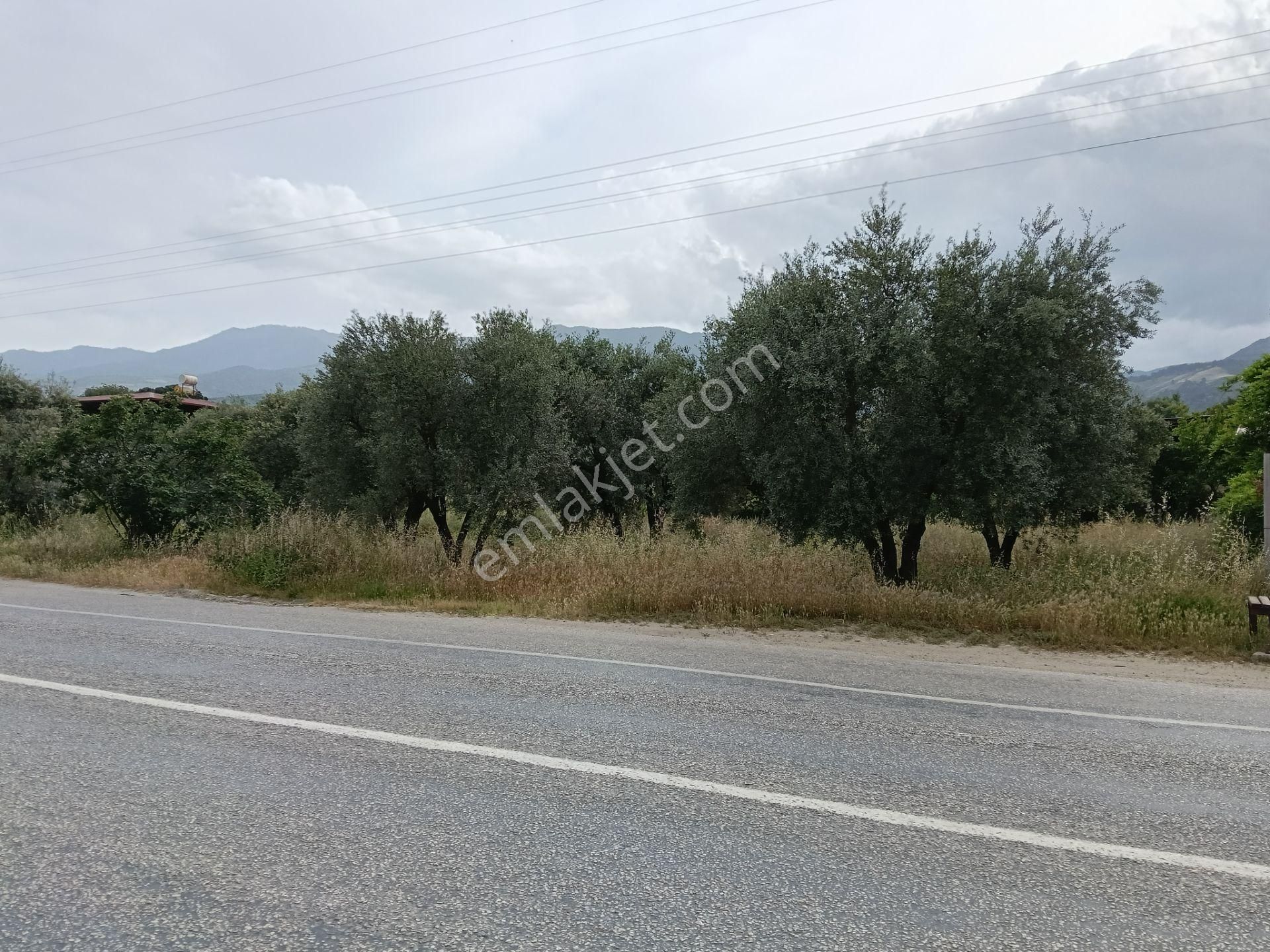 502 Karacasu Esençay Mah De Satılık Arsa Asfalta Sıfır İmar Sahası İçinde - Görsel 8