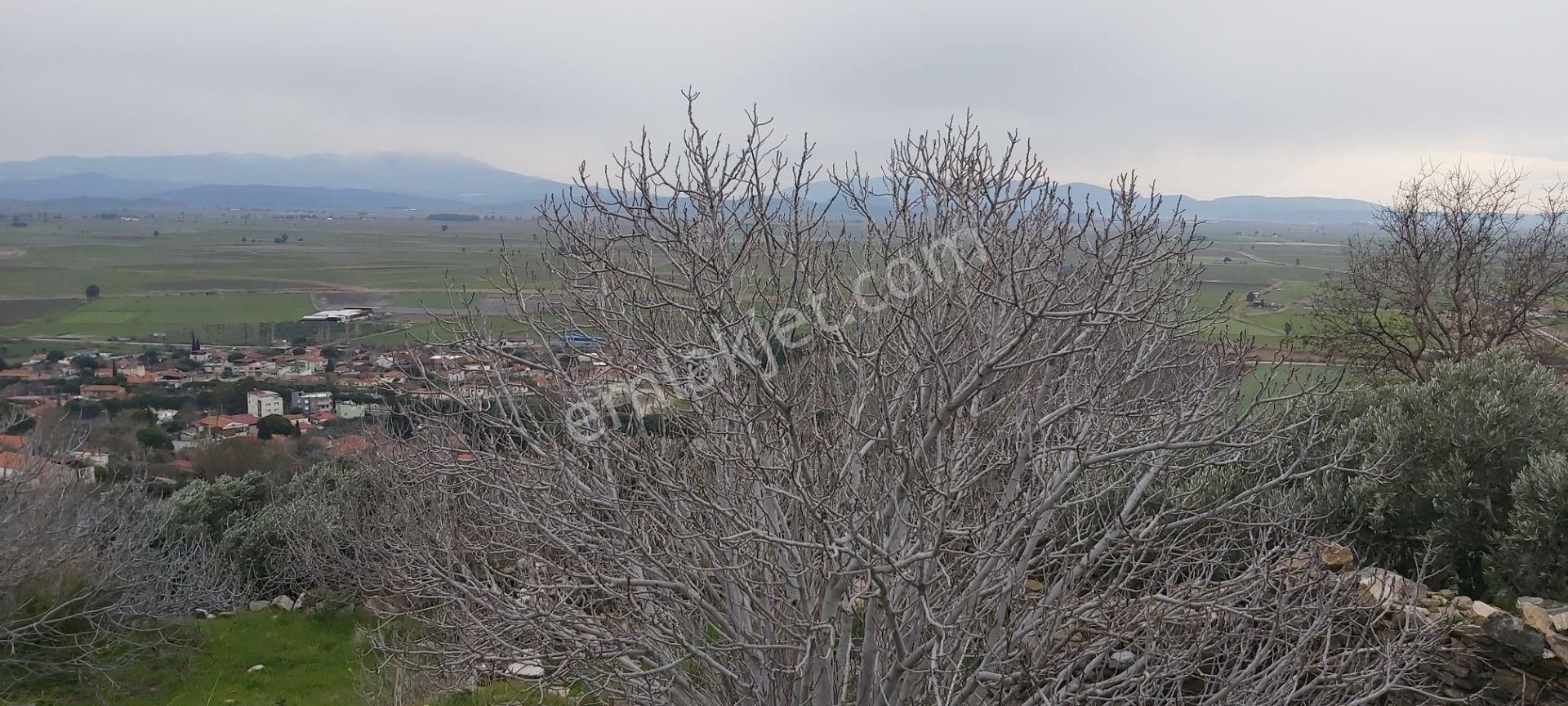 Söke Güllübahçe Mah.de 121 M² Hobi Bahçesi - Görsel 6