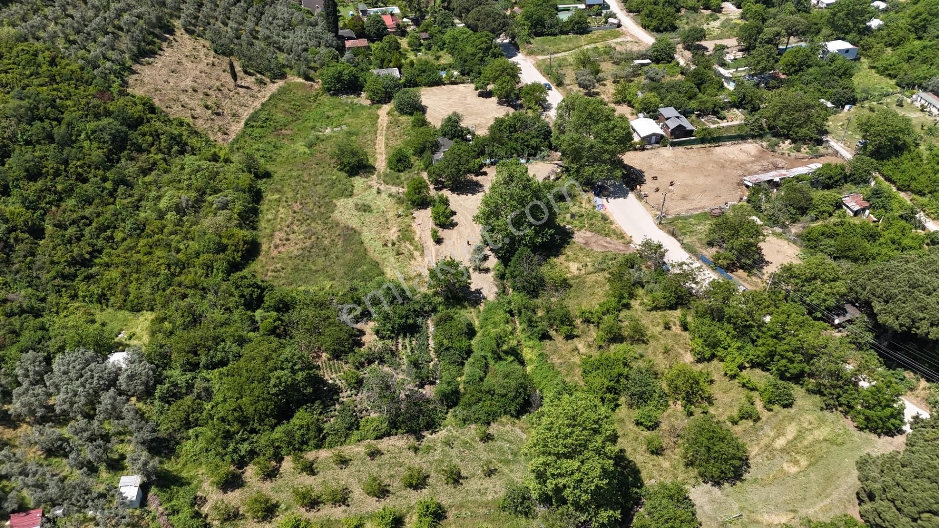 Kumla Konak Emlak'tan Hobi Bahçesi 700m2 - Görsel 13