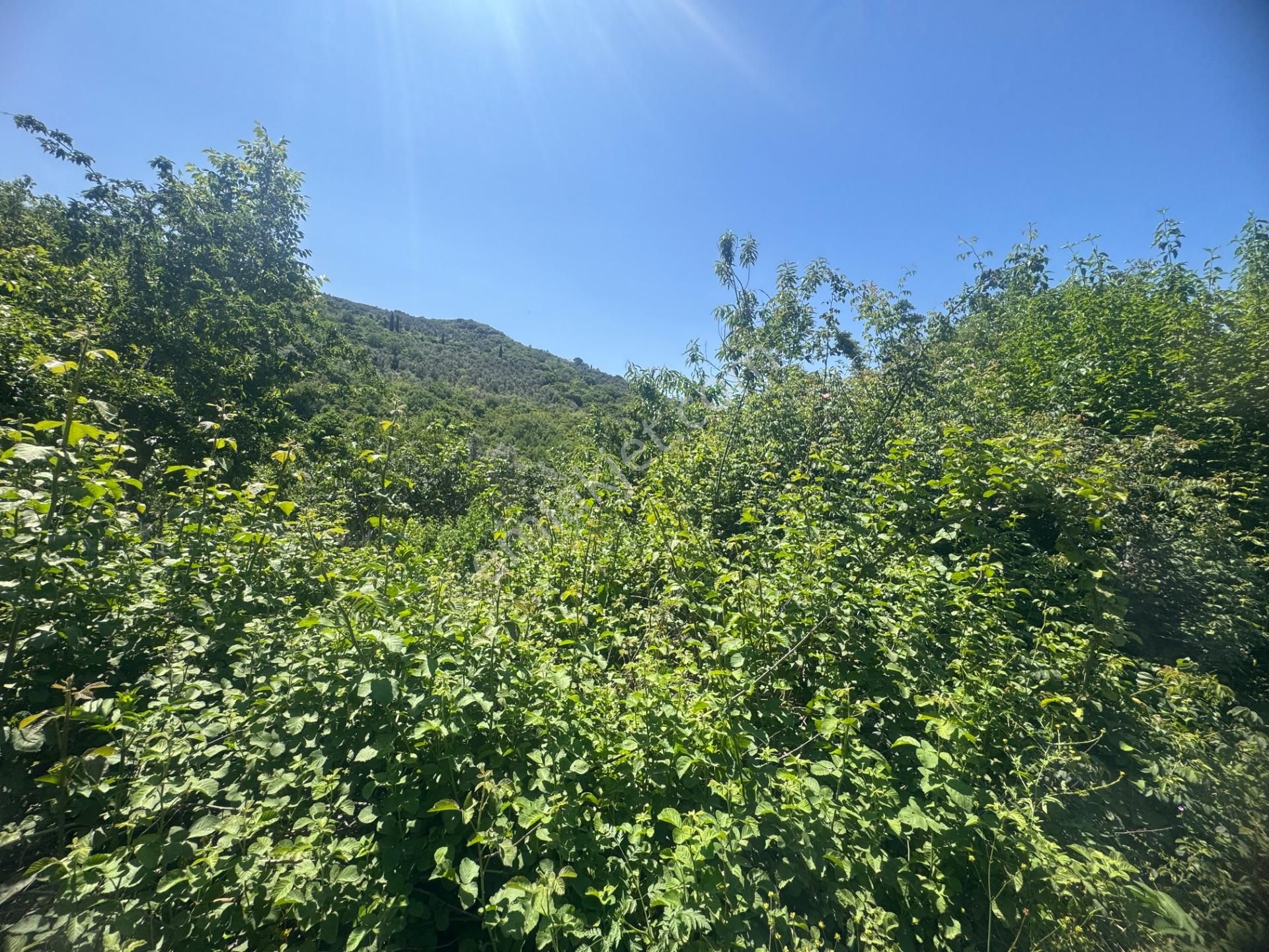 Kumla Konak Emlak'tan Hobi Bahçesi 700m2 - Görsel 27