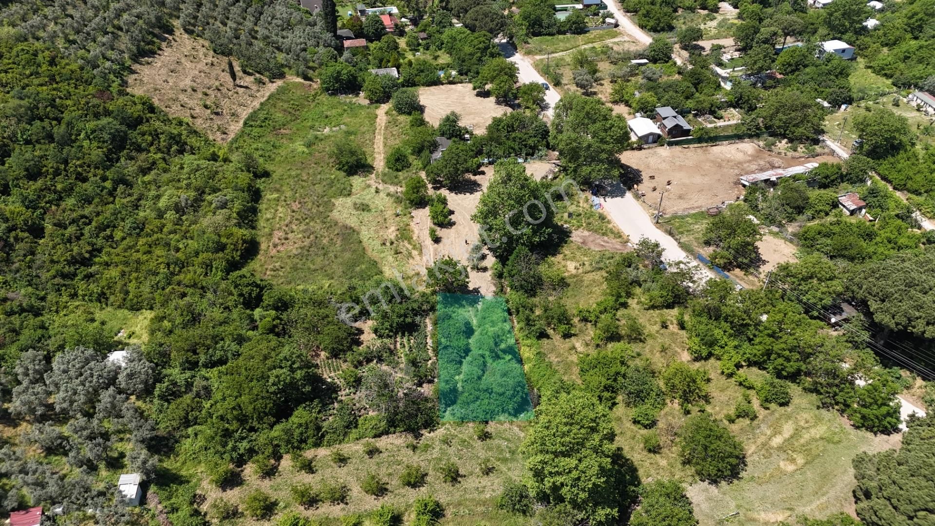 Kumla Konak Emlak'tan Hobi Bahçesi 700m2 - Görsel 4