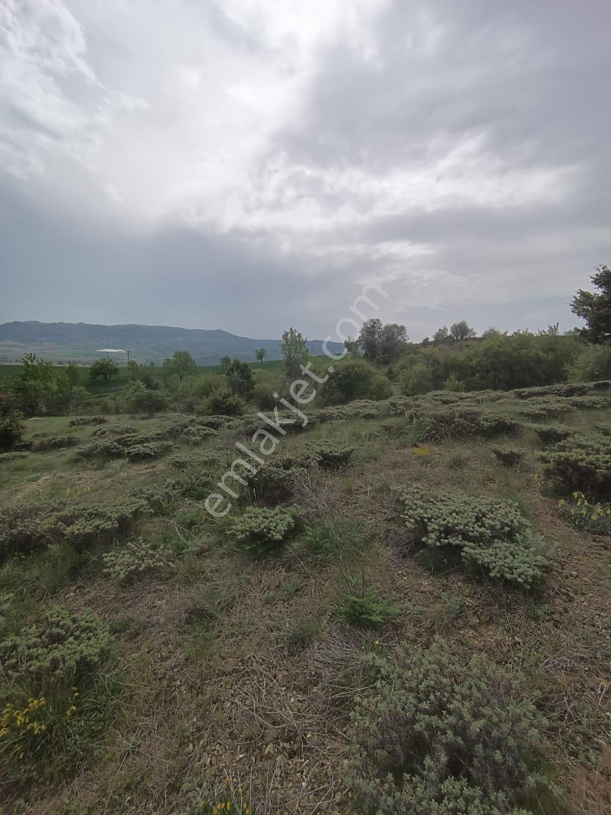 Bolu-göynük-kilciler Köyün De İmar Sınırında Satılık Arazi