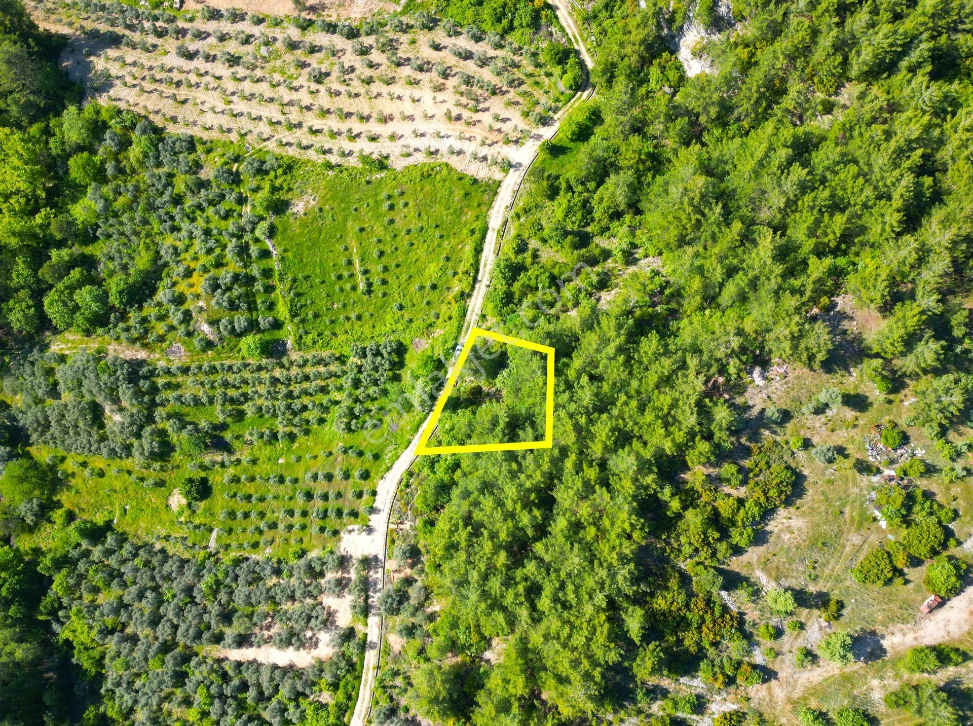 Muğla Yerkesik Yeniköy'de Satılık Hobi Bahçesi