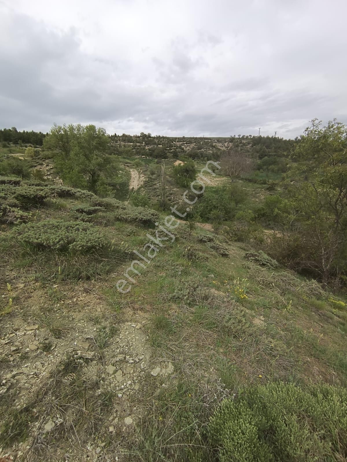 Bolu-göynük-kilciler Köyün De İmar Sınırında Satılık Arazi