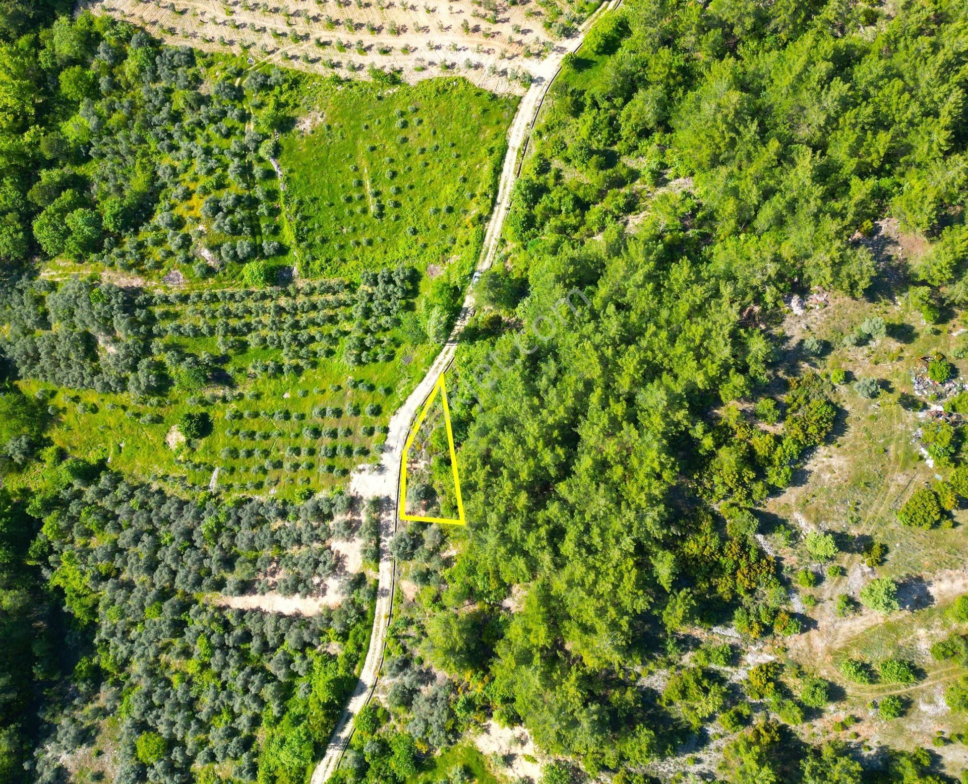 Muğla Yeniköyde Satılık Hobi Bahçesi