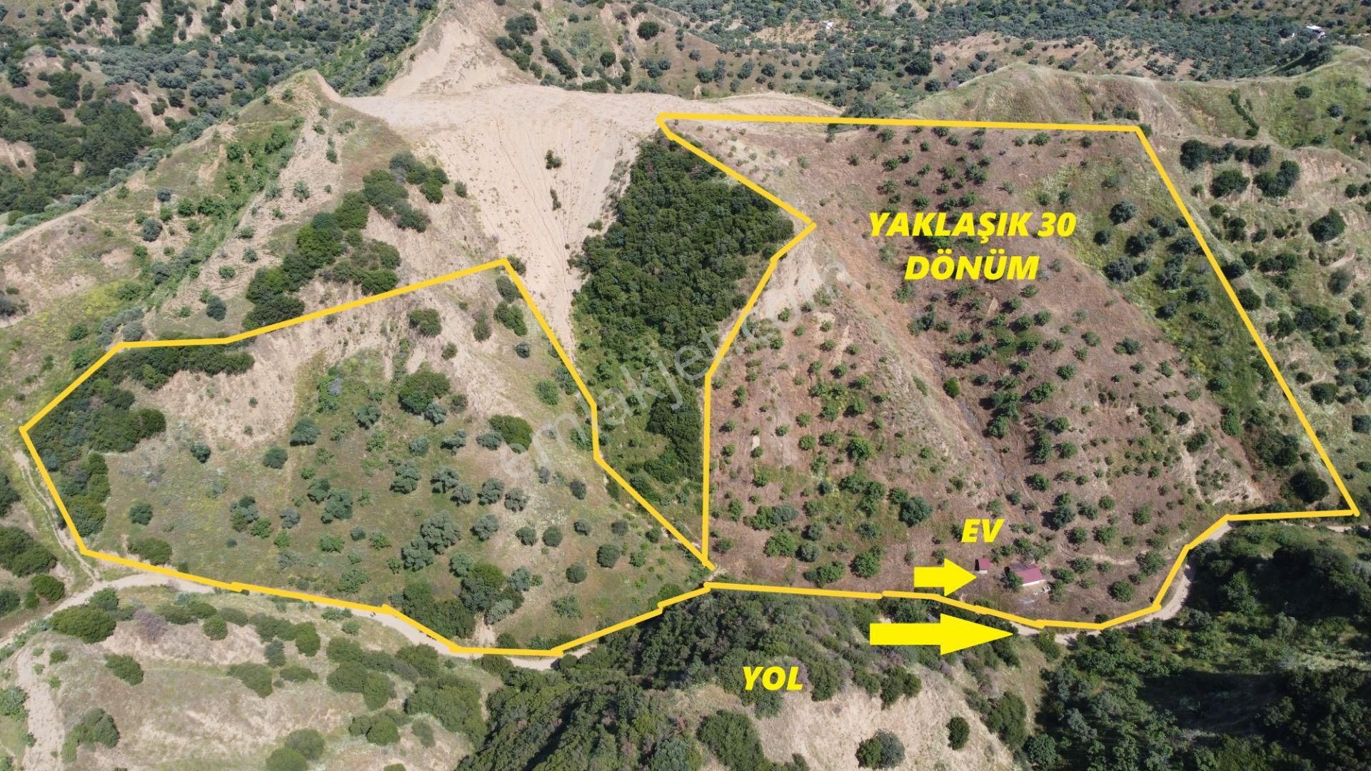 ✅✅ Nazilli Dereağzında 22 Dönüm Satılık Bahçe ✅✅