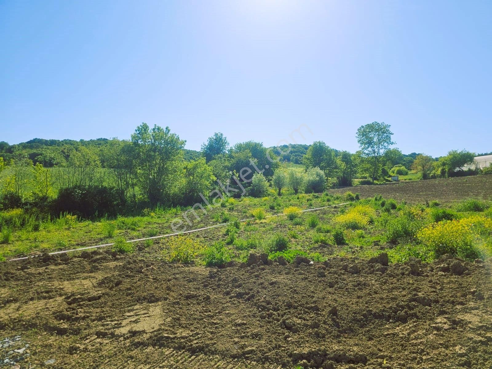 Kaynarca Şeyhtımarında 1394m2 Yolu Açılmış Satılık Arsa