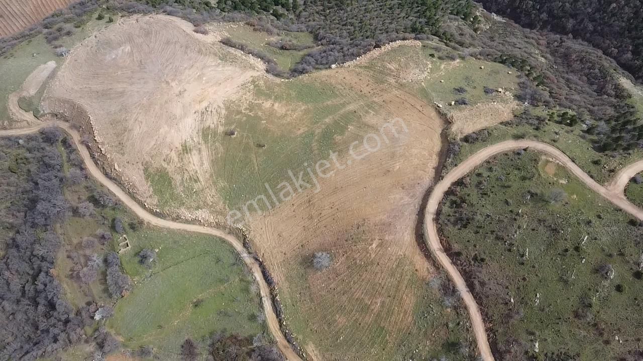 Manisa Alaşehir Alper Gayrimenkulden Evrenli Mahallesinde Satılık 30 Dönüm Tek Tapu Tarla