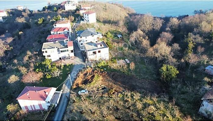 Trabzon Da Satılık Arazi