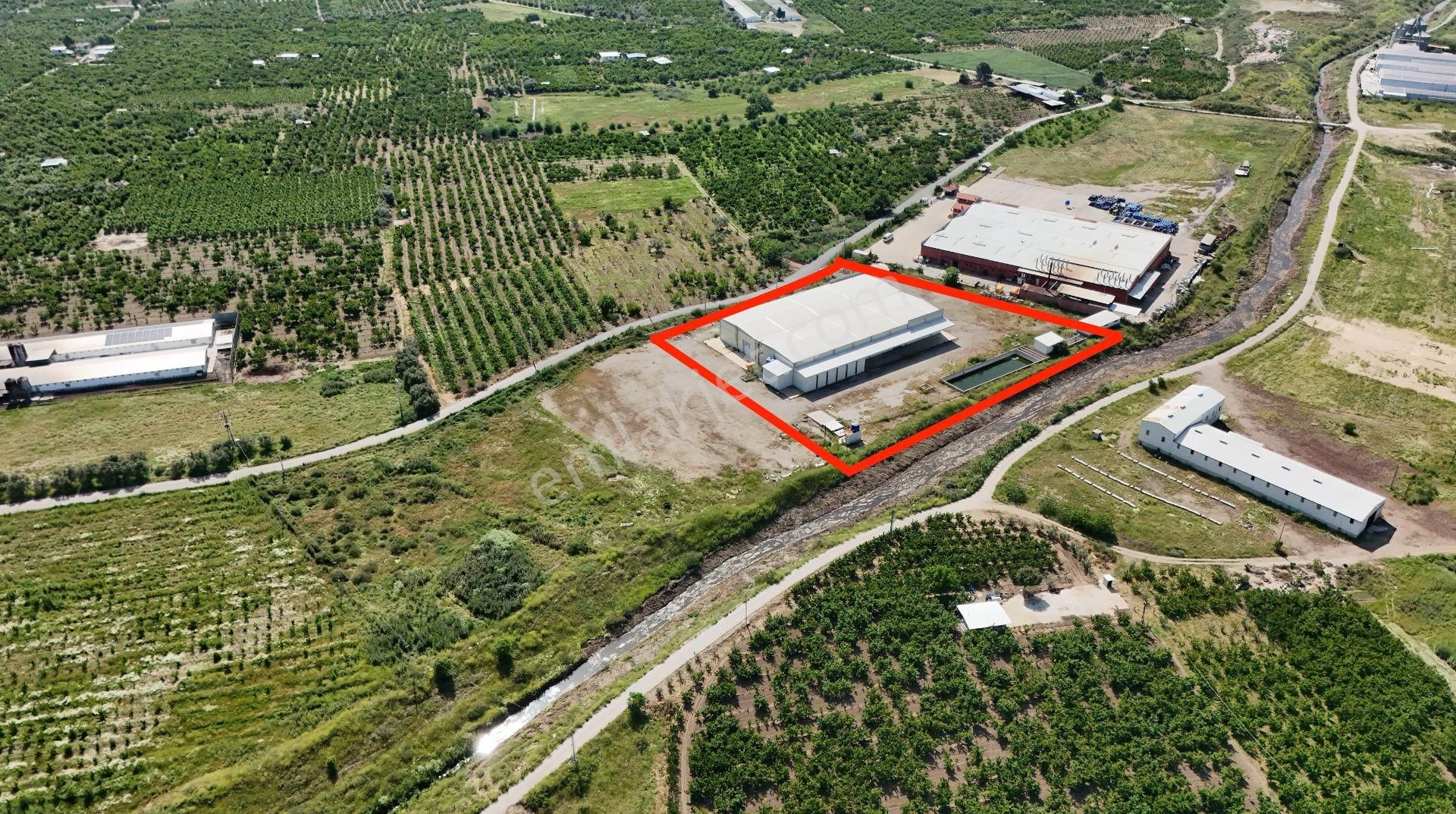 Kemalpaşa Bağyurdu'nda Tarımsal İmalata Uygun 3.000 M2 Fabrika