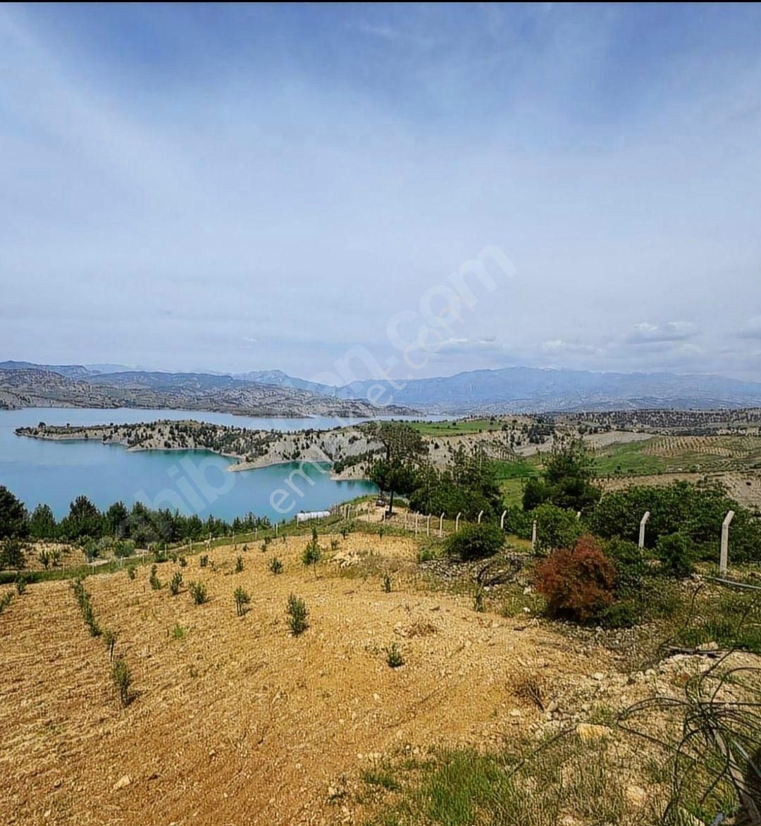 Sarıçukurda 30m2 Ev Ve 5100 M2 Bağ Bahçe Eksiksiz Su Elektrik Yolu Var