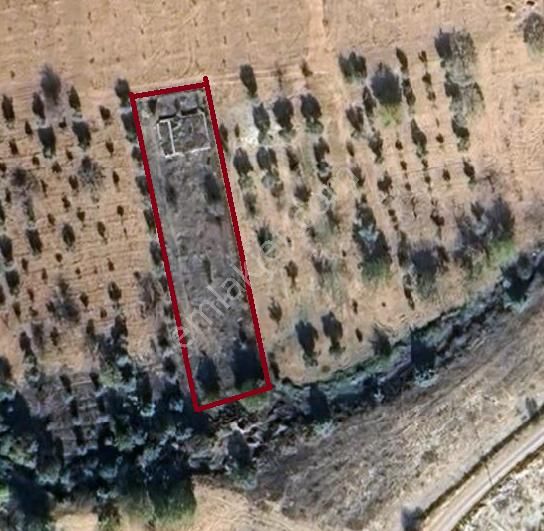 Zeytinli - Şahinbey 'de Satılık Etrafı Telle Çevrili Bağevi Yeri