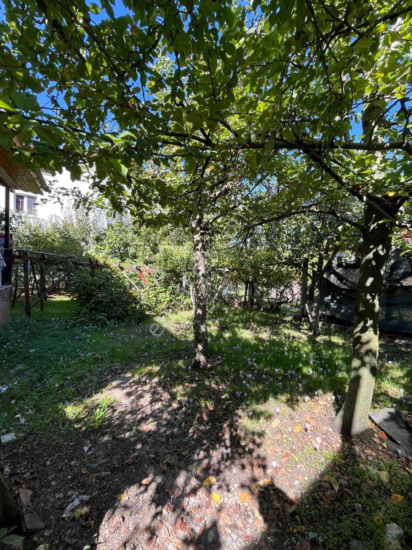 Adana Bürücek Topaktaş Satılık Yaylalık - Görsel 6