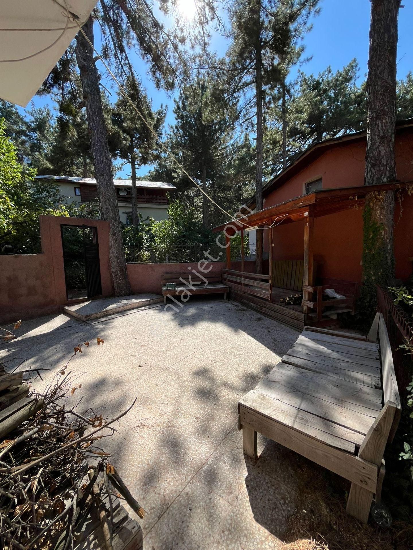 Adana Bürücek Topaktaş Satılık Yaylalık - Görsel 12