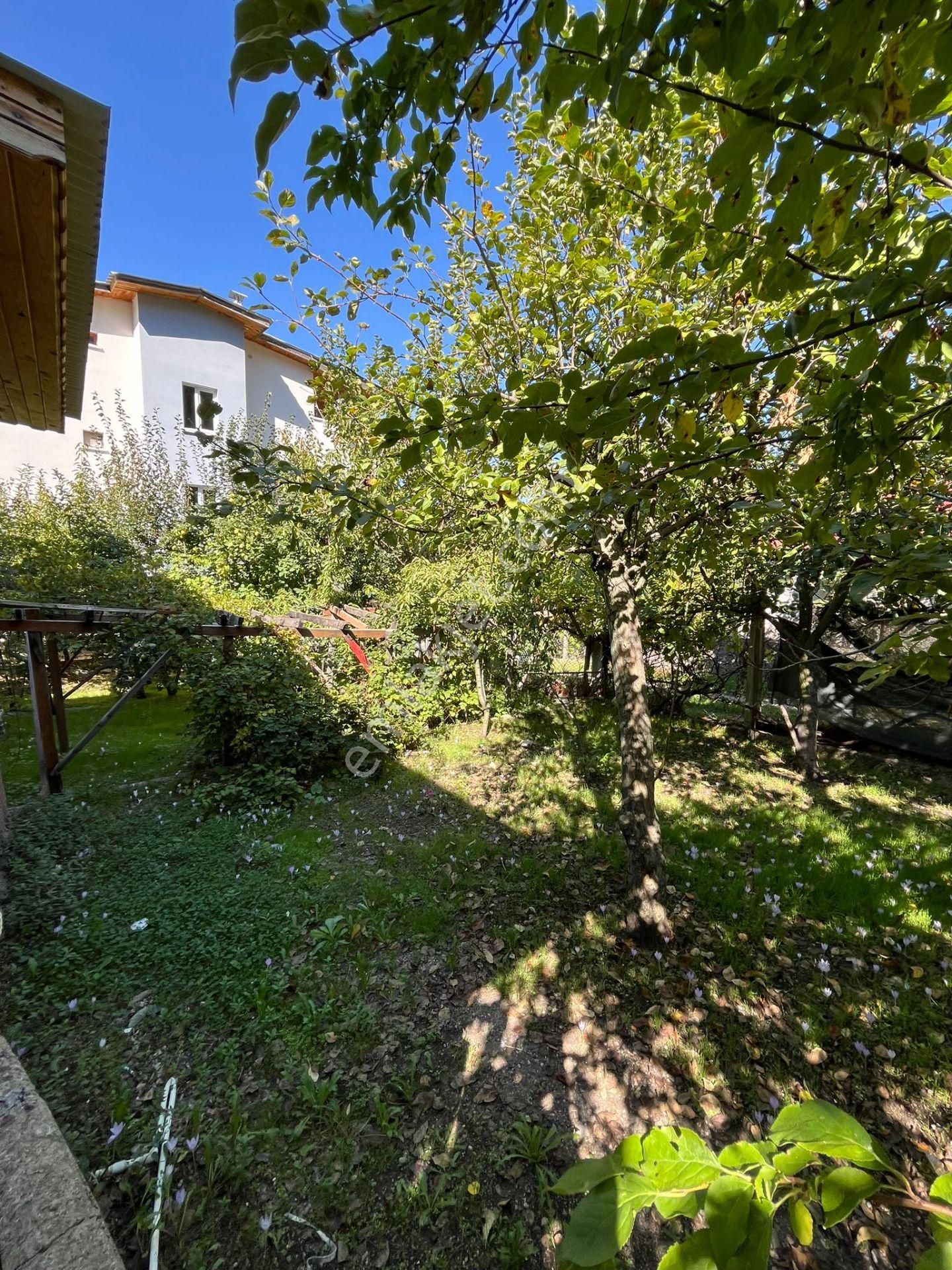 Adana Bürücek Topaktaş Satılık Yaylalık - Görsel 4