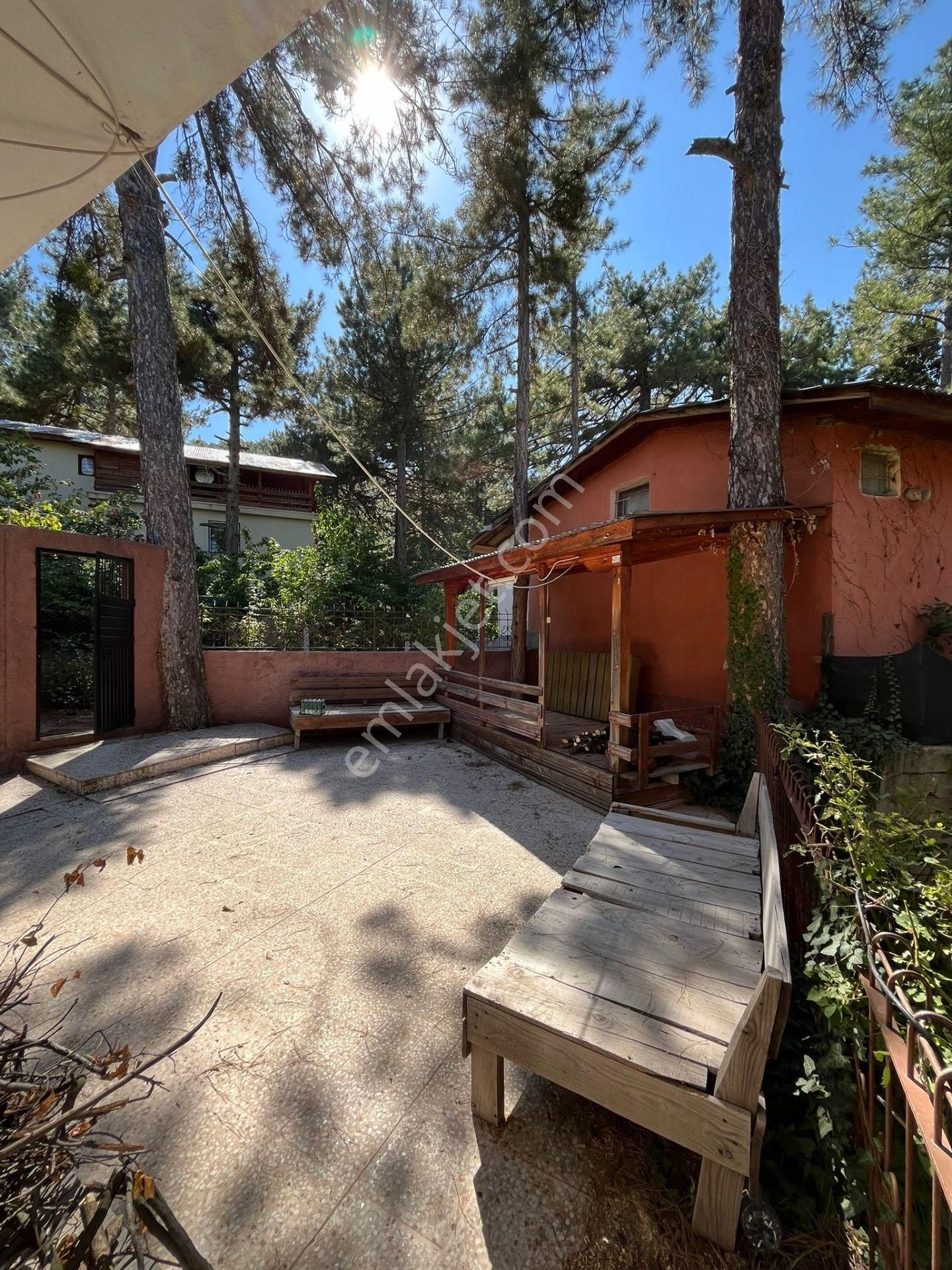 Adana Bürücek Topaktaş Satılık Yaylalık - Görsel 15