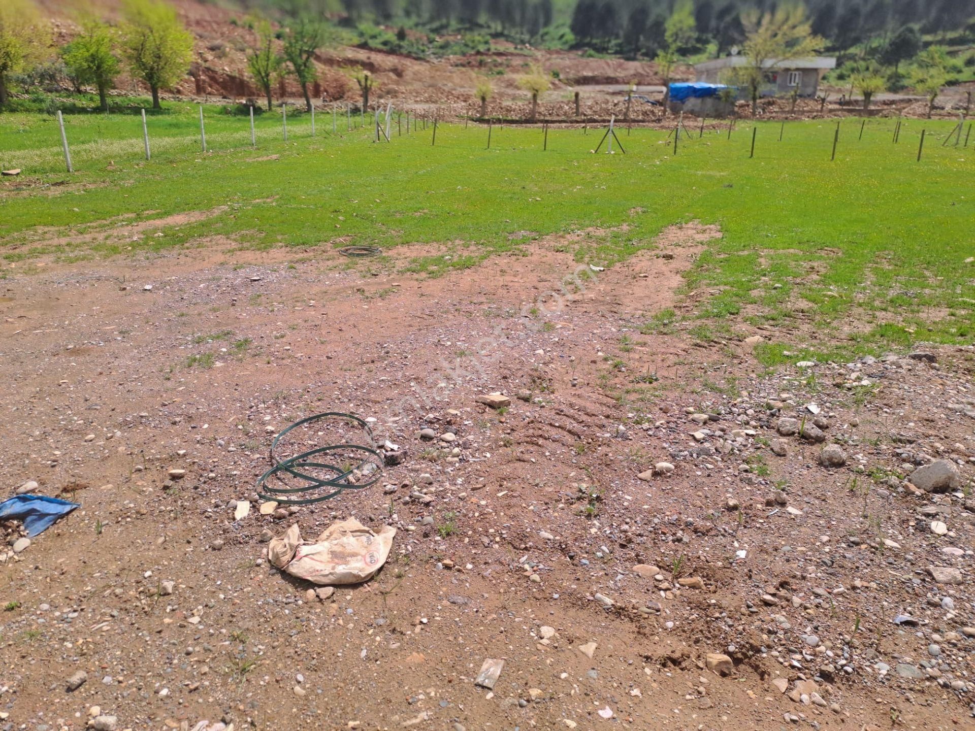 Coldwell Banker' Dan Altınova Da Satılık Arsa - Görsel 8