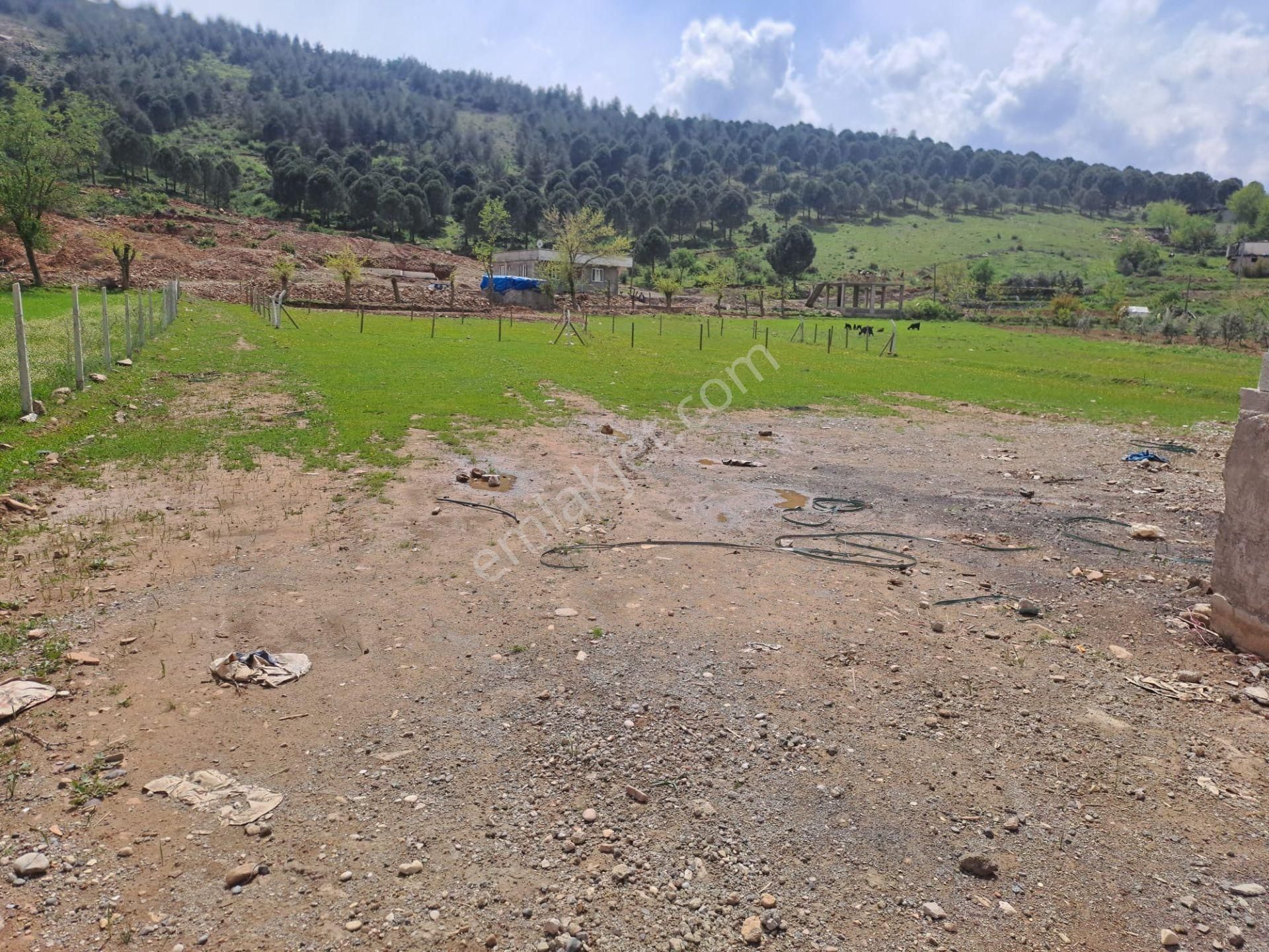 Coldwell Banker' Dan Altınova Da Satılık Arsa - Görsel 9