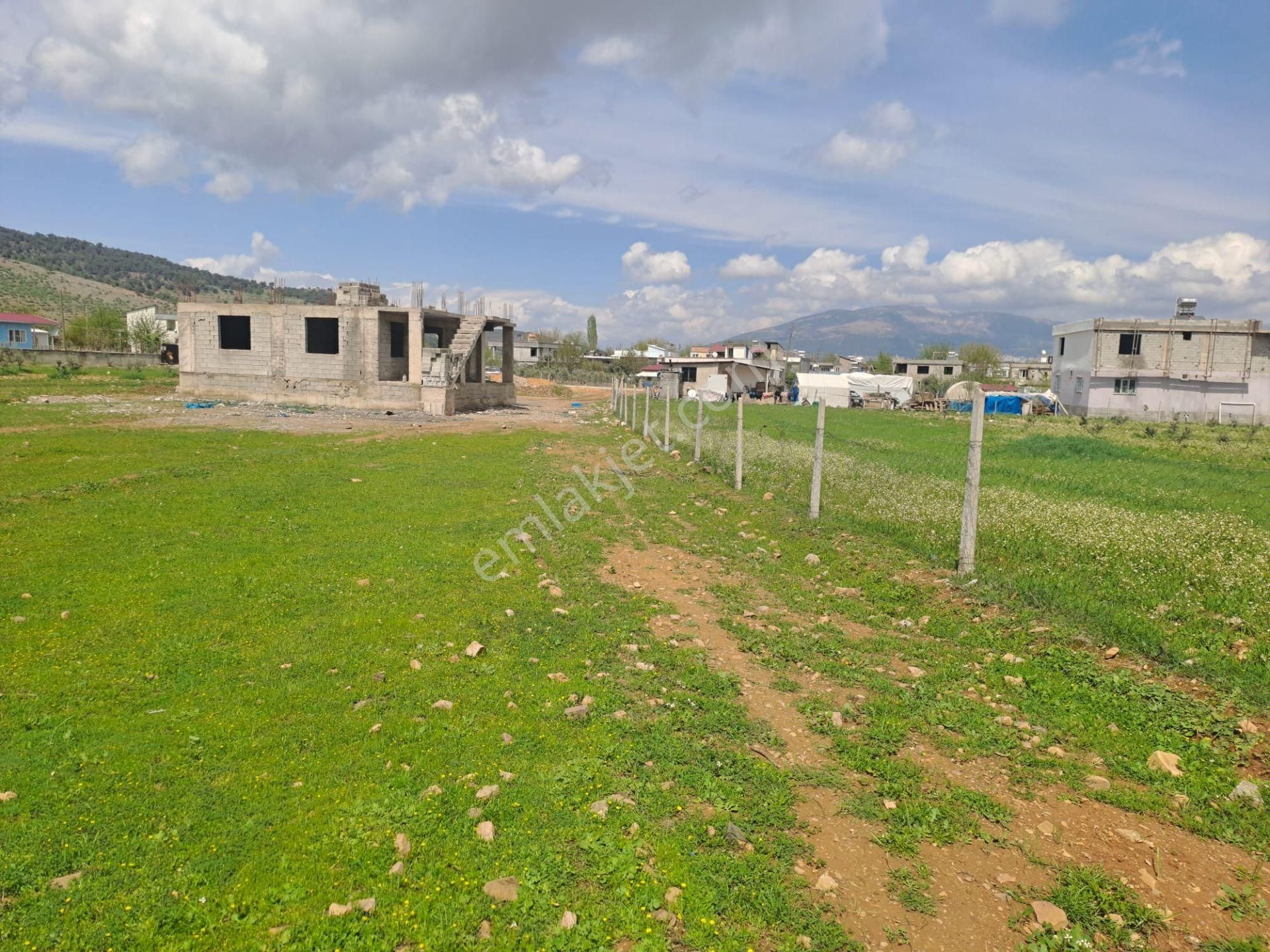 Coldwell Banker' Dan Altınova Da Satılık Arsa - Görsel 5