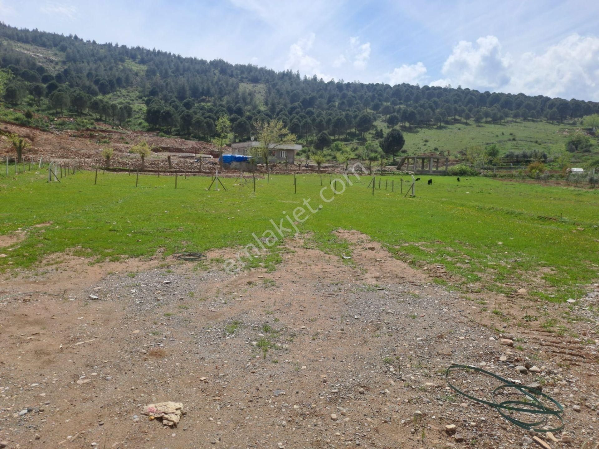 Coldwell Banker' Dan Altınova Da Satılık Arsa - Görsel 12