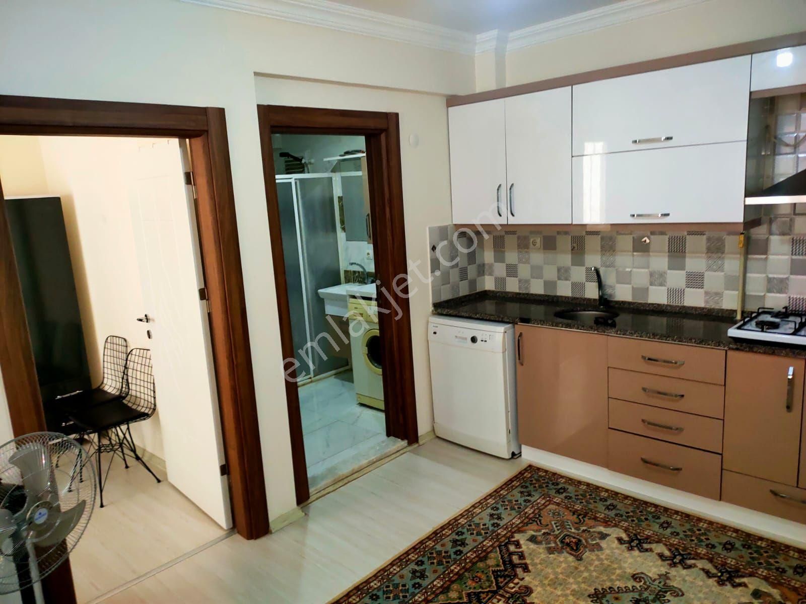 Altıntaş Mahallesinde 1+1 Eşyalı Daire - Görsel 7