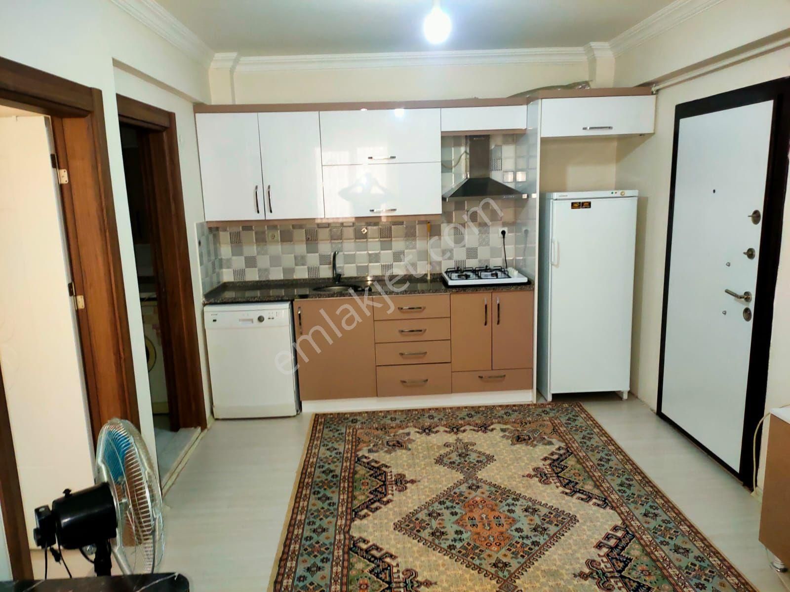 Altıntaş Mahallesinde 1+1 Eşyalı Daire - Görsel 14