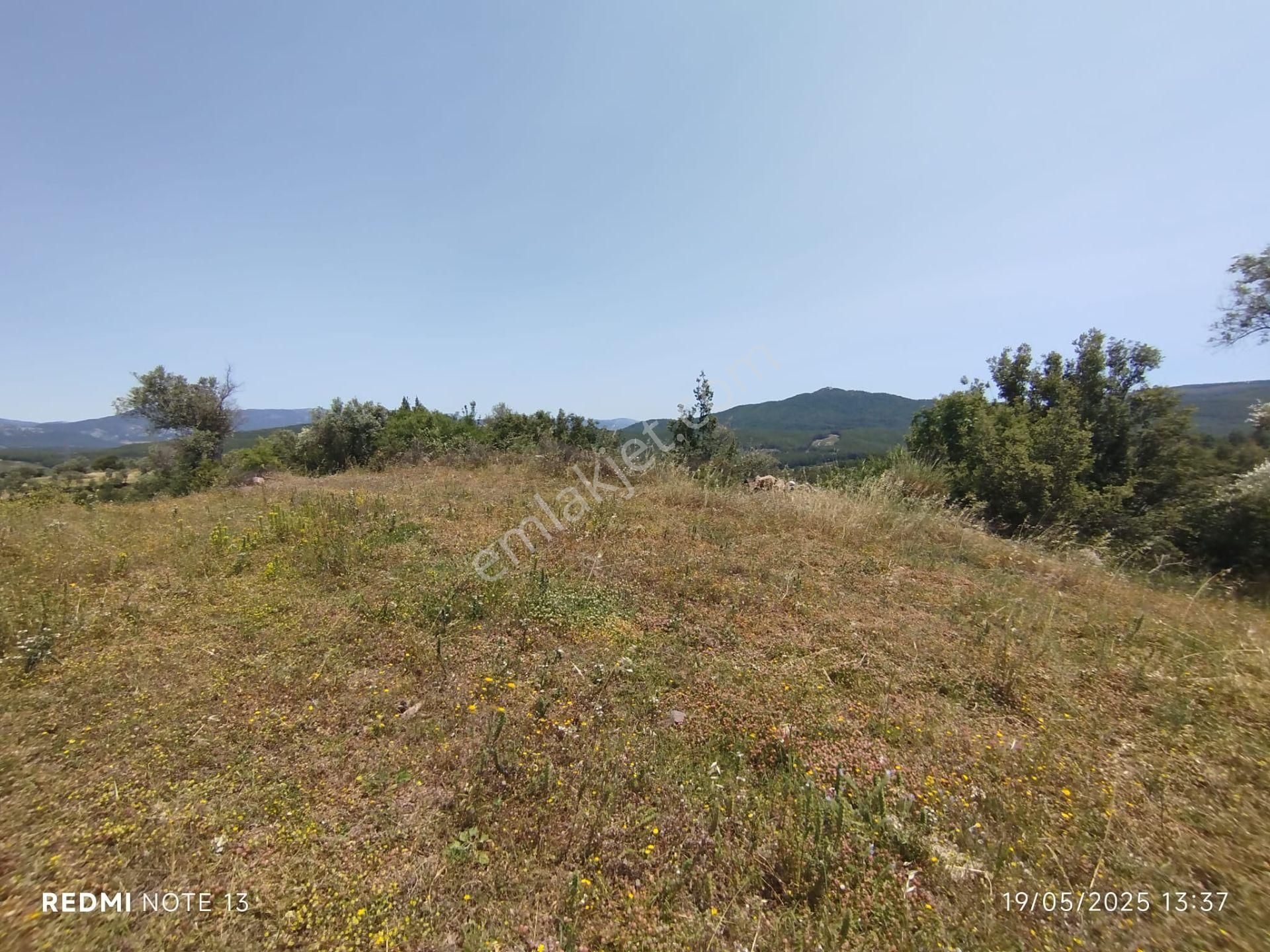Muğla Milas Çiftlik'de Muhteşem Lokasyonda 2.504 M² Satılık Tarla!