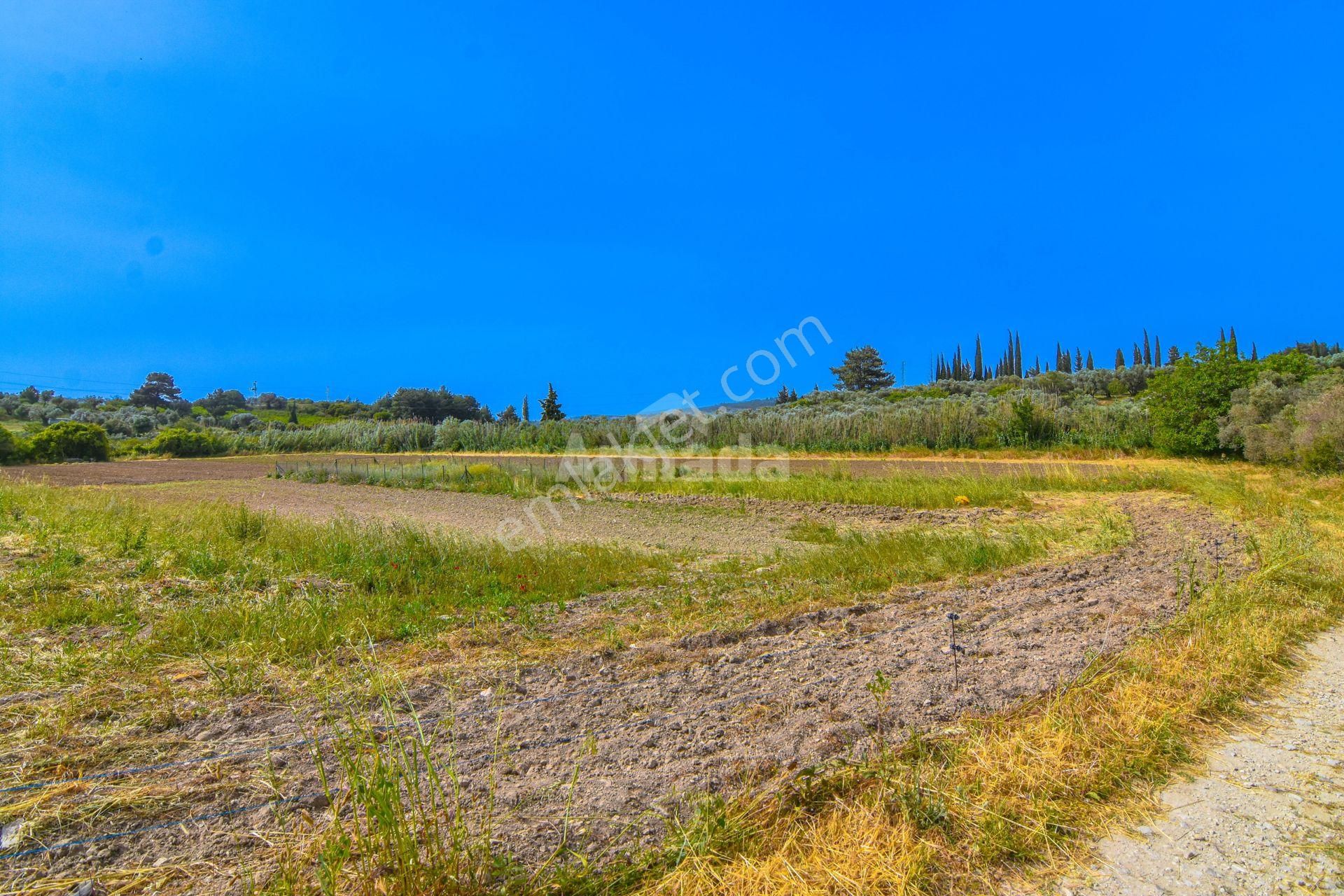 Kuşadası Davutlar'da Yatırımlık 314 M2 Satılık Villa Arsası