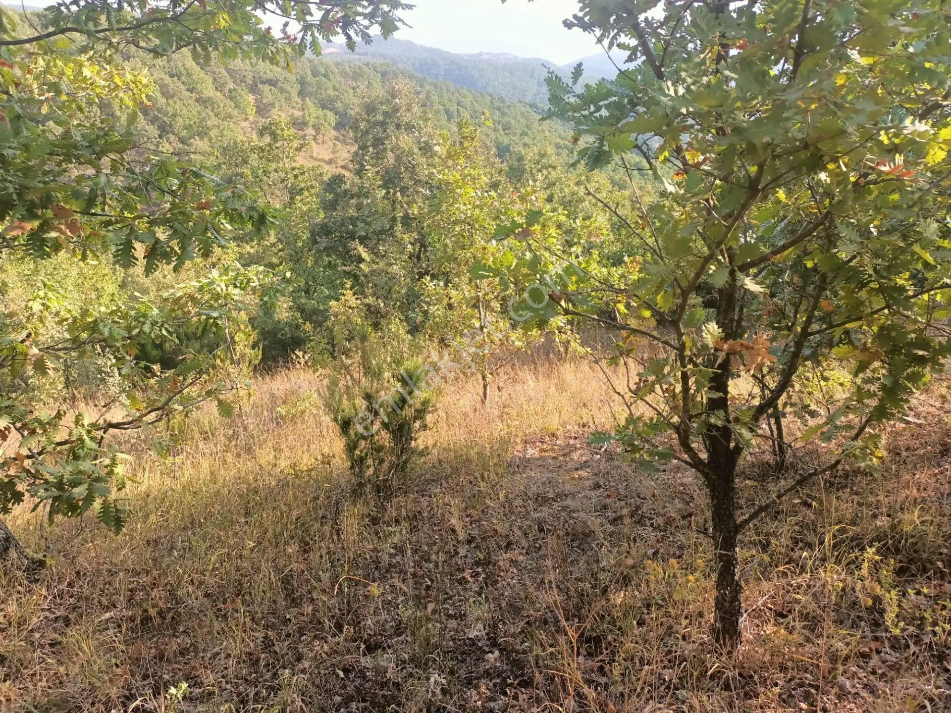 Çanakkale Biga Katrancı Köyünde Yatırımlık Tarla - Görsel 4