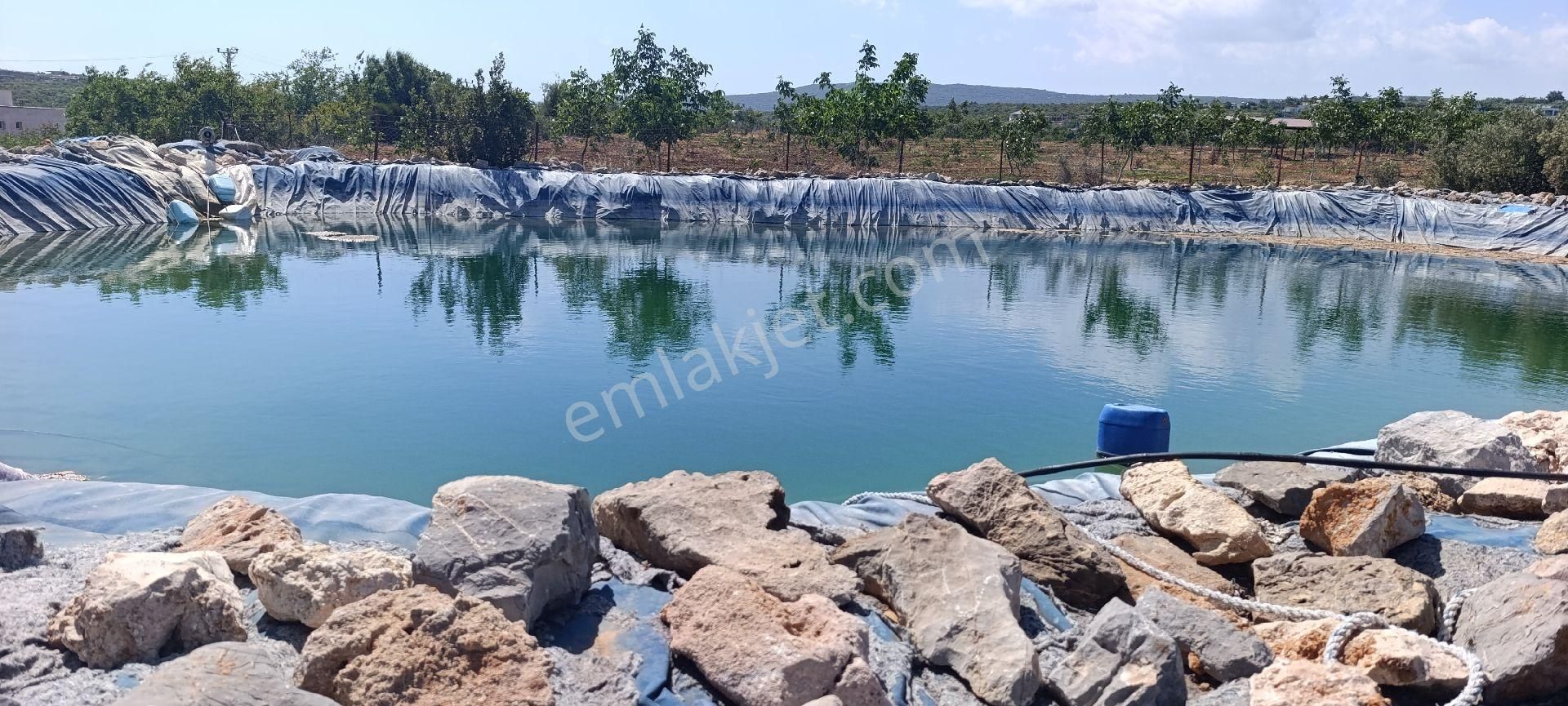 Karaahmetlide Satılık Kivi Bahçesi