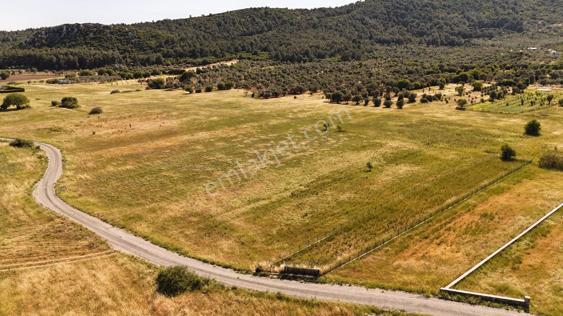 Barbaros Köyü'nde Yatırıma Uygun Tarla