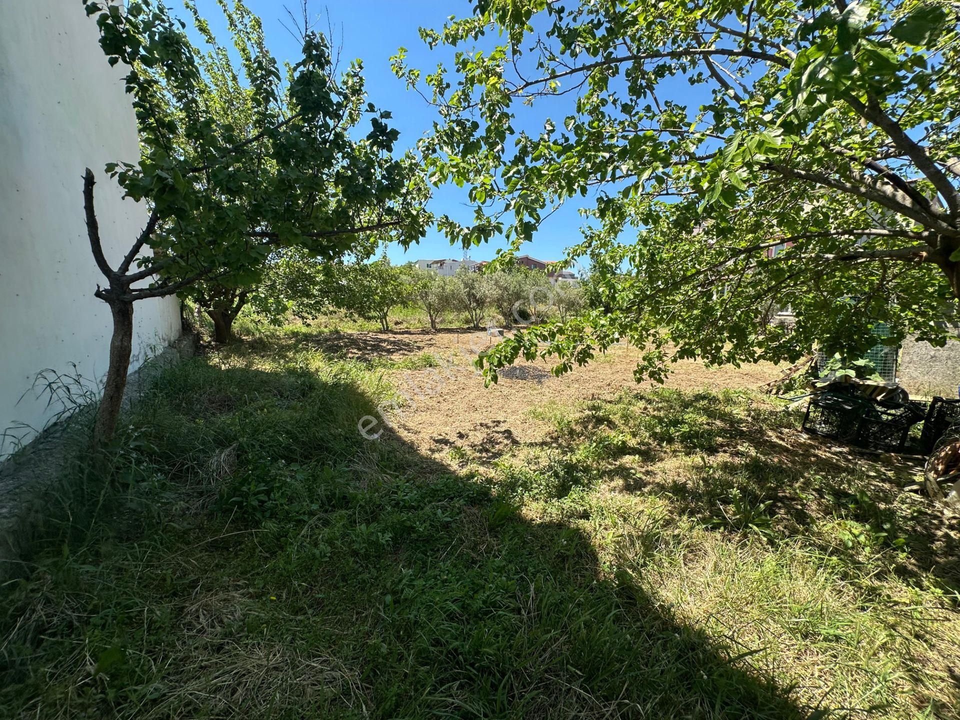 Urla Çamlıçay Mahallesinde Denize Yakın, 40/80 İmarlı Arsa