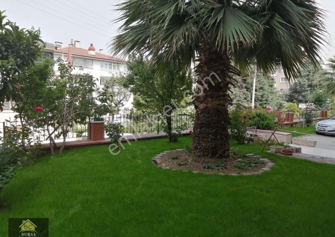 Bursa Karacabey Yeşildere Köyün De 2300 M2 Zeytinlik
