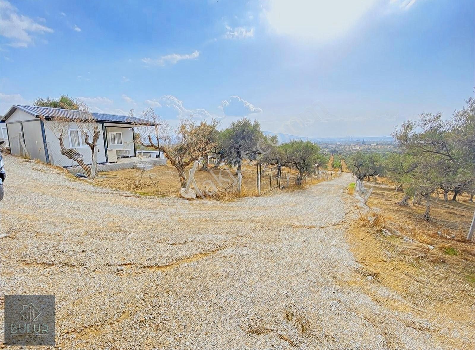 Bulur Dan Torbalı Saipler De 277 M2 Satılık Tarla Ve Zeytinlik - Görsel 8