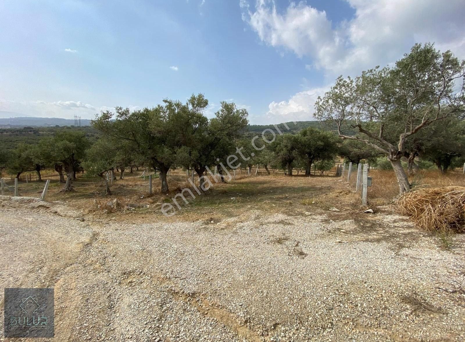 Bulur Dan Torbalı Saipler De 277 M2 Satılık Tarla Ve Zeytinlik - Görsel 3