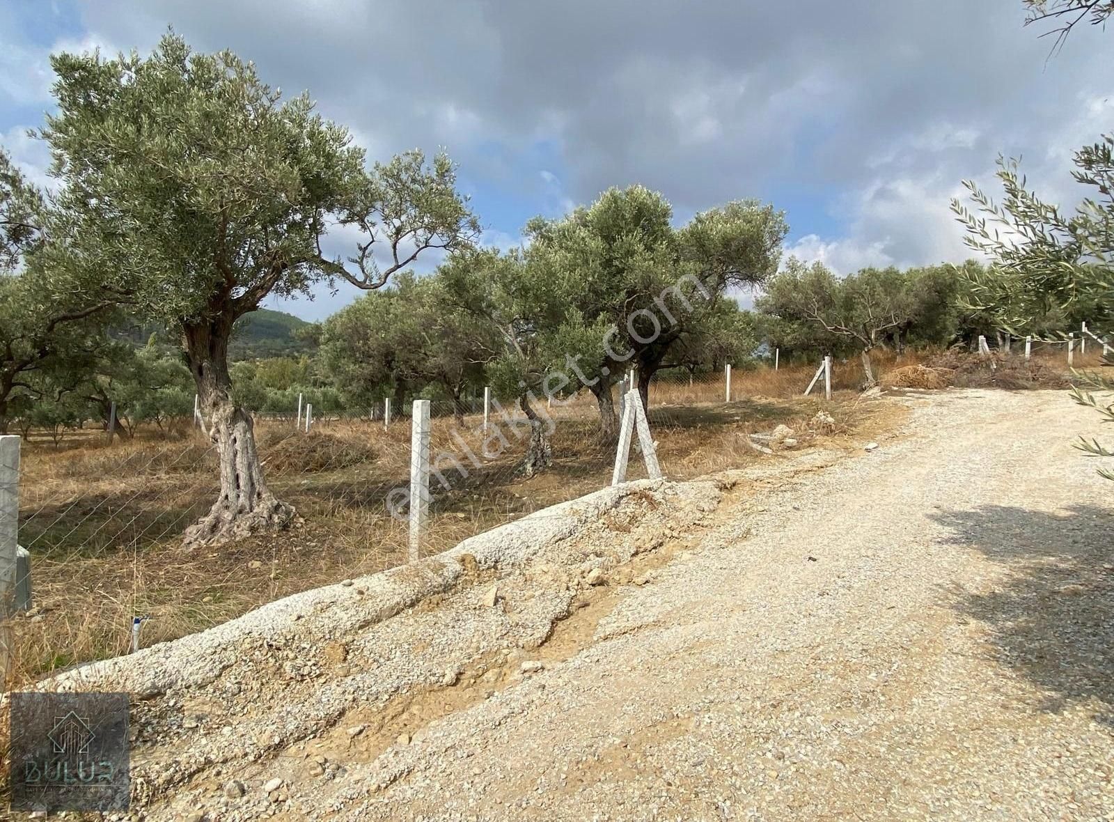 Bulur Dan Torbalı Saipler De 277 M2 Satılık Tarla Ve Zeytinlik - Görsel 12