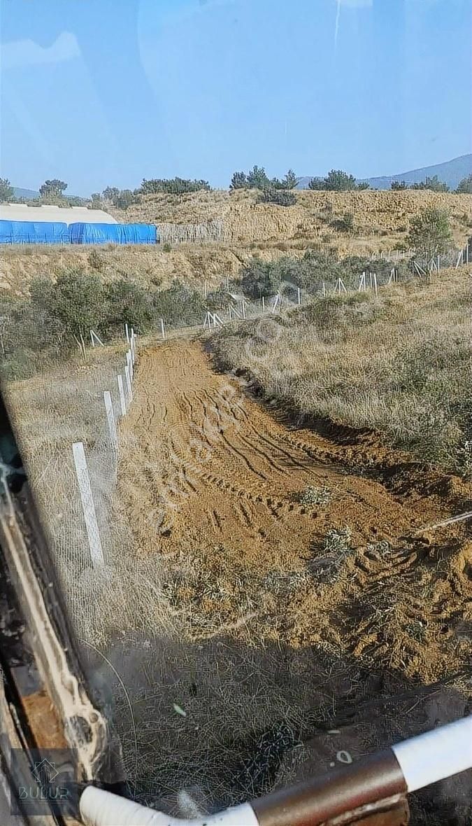 İzmir Kemalpaşa Yeşilköy Burkiye Altı 805m2 Mirastan Bölme Tarla