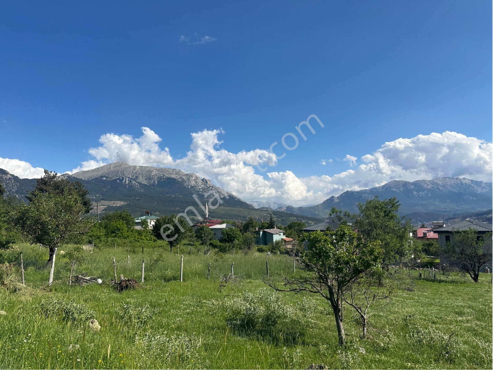 Pozantı Selçuk Emlak’tan Alpu Yaylası’nda Köy İçinde Satılık Arsa