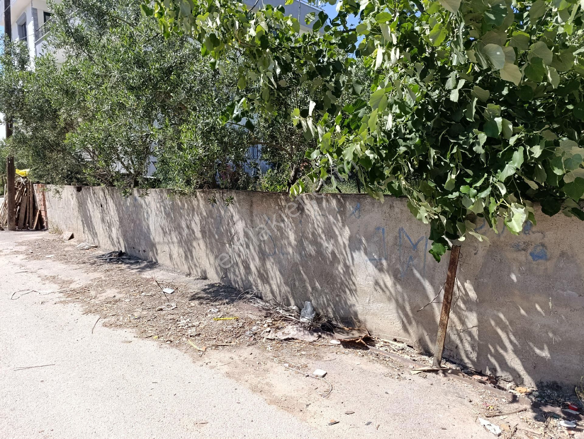 İzmir Torbalı Ayrancılar Satılık Arsa - Görsel 6