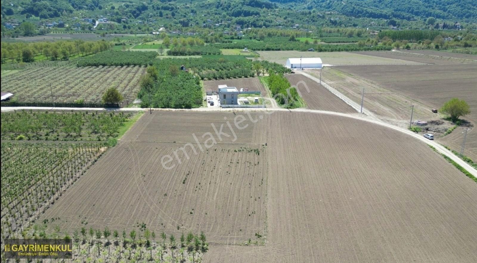 Fırsat 3.256 M² Arifiye Hacıköy Mah.de Tarla