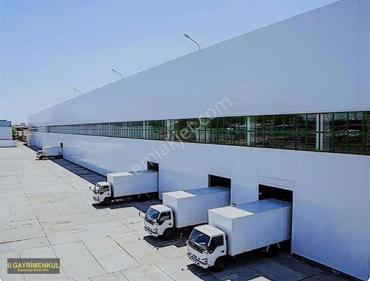 Satılık Depo / Antrepo Arsası - Görsel 2