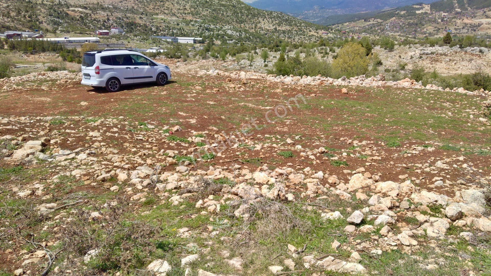 Köyiçinde Tek Tapu 6.200.m2-satılık Arsa**aydından*