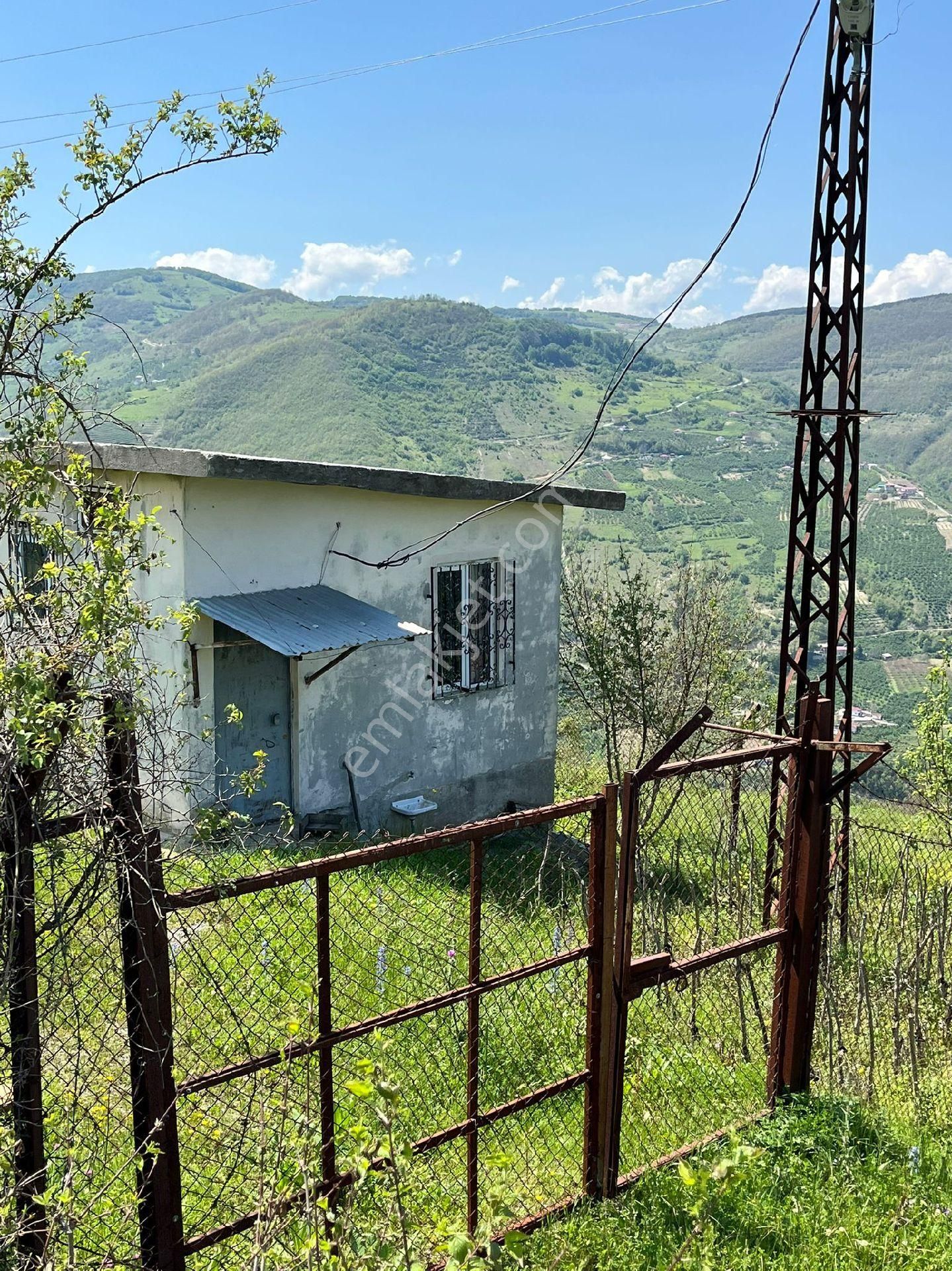 Samsun Canik Kaleboğazın Da Tek Tapu 6500ö2 Yola Cephe
