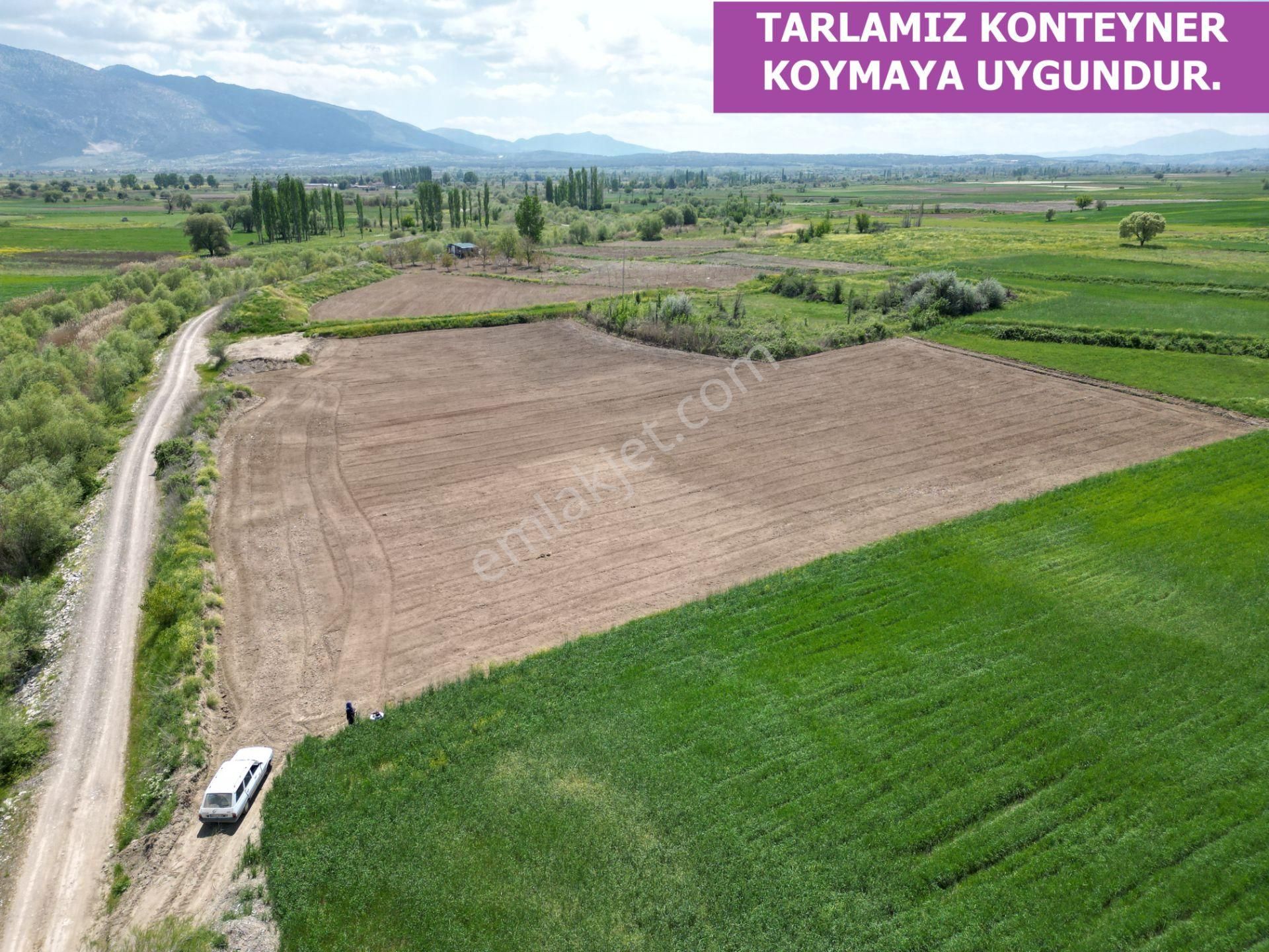 🦋lobby Fortis'ten Satılık Acıpayam Dedebağı'nda 7256 M² Tarla🦋 - Görsel 5