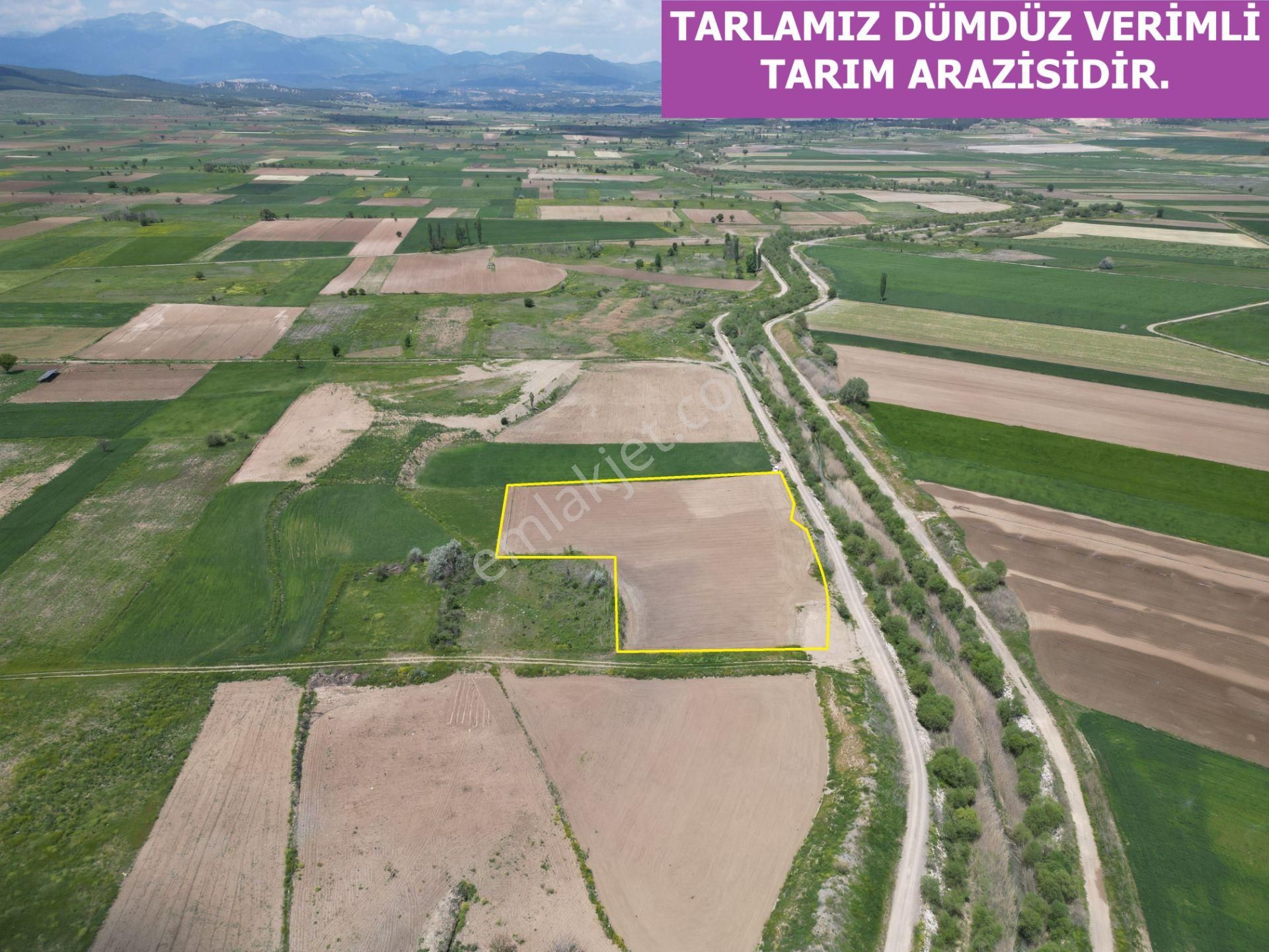 🦋lobby Fortis'ten Satılık Acıpayam Dedebağı'nda 7256 M² Tarla🦋 - Görsel 4