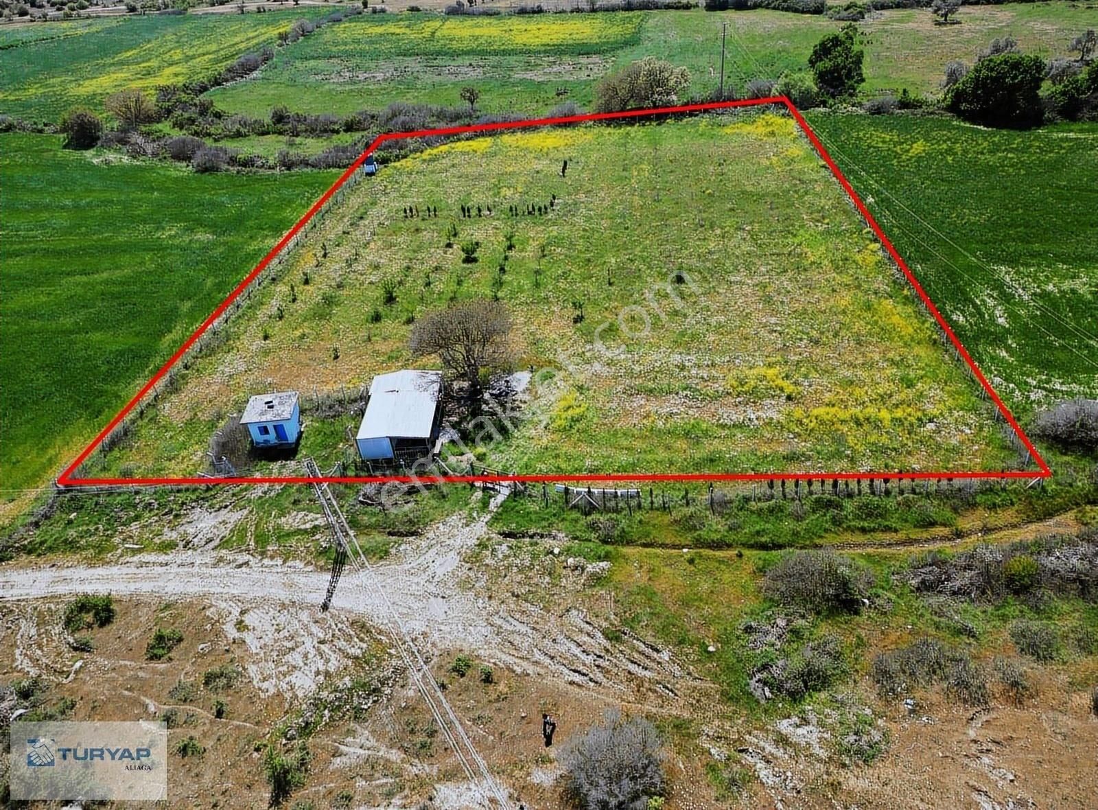 Manisa Yunusemre'de Satılık Tarla