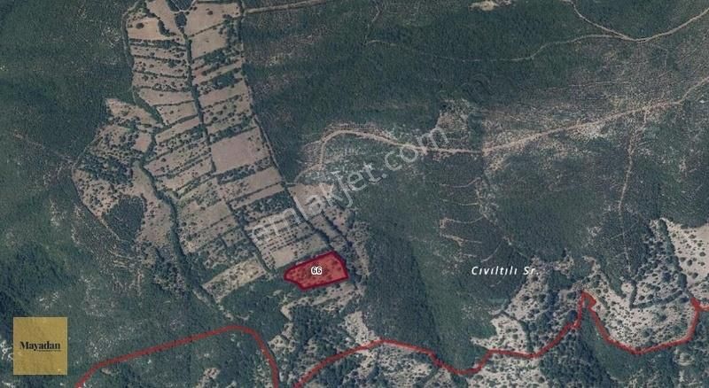 Mayadan Gyo'dan Çığmışta Satılık 8200m2 Tarla