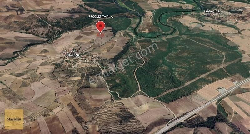 Mayadan Gyo'dan Havutçada Satılık 7700 M2 Tarla